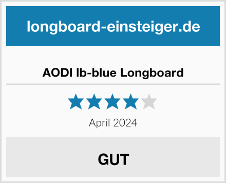  AODI lb-blue Longboard Test